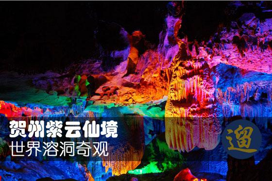 了解云缨模拟器冷狐版知识星球,加入探索知识的行列!