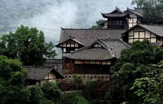 动物帮帮忙保卫家园