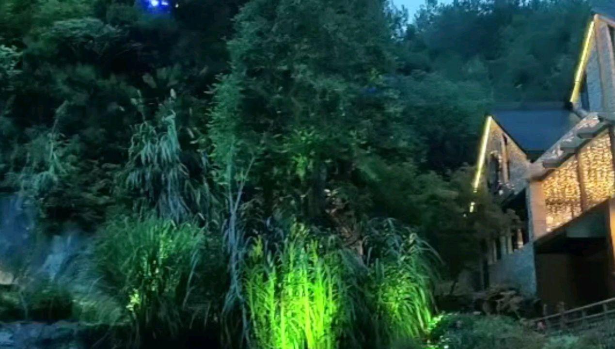 深入探索知识星球平台,畅享哪些证件可以做项目经理?乐园